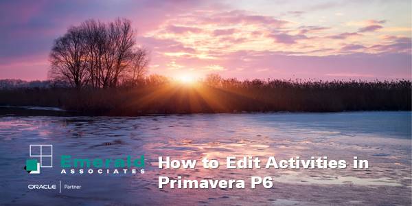 How to Edit Activities in Primavera P6